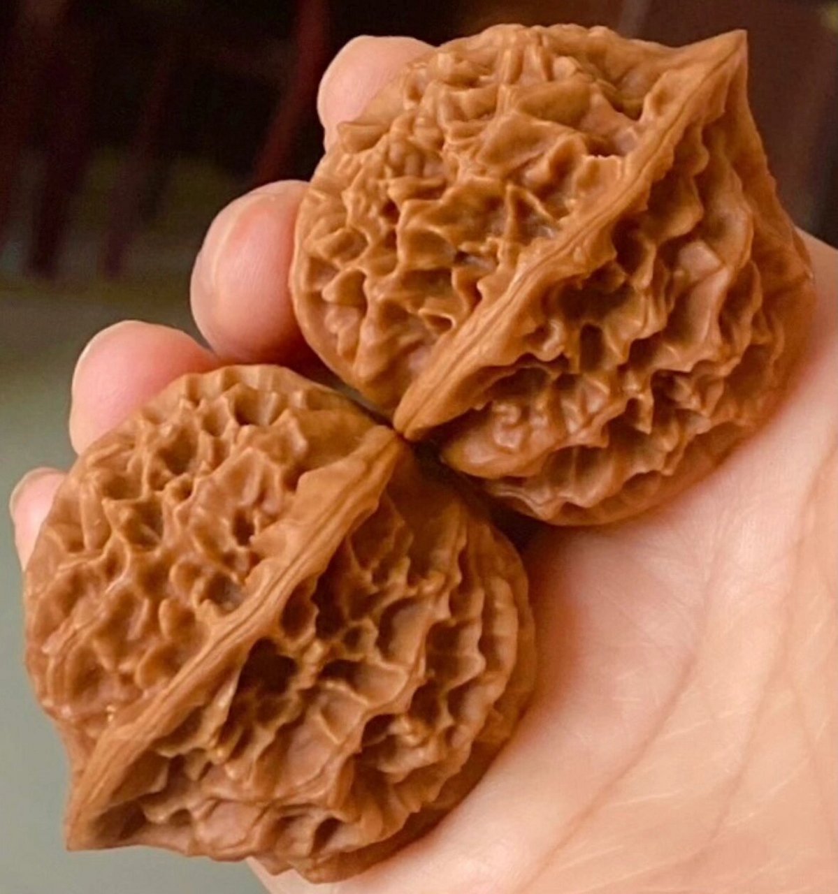 龙鳞纹狮子头核桃文玩!品相俱佳,油红皮儿! 边42.