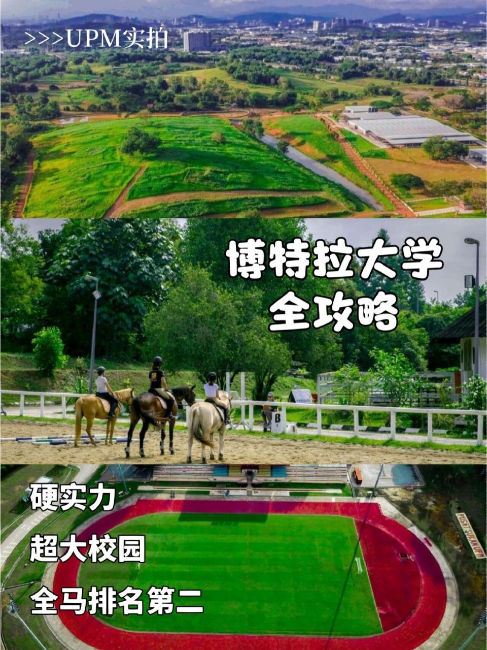 博特拉大学校园图片