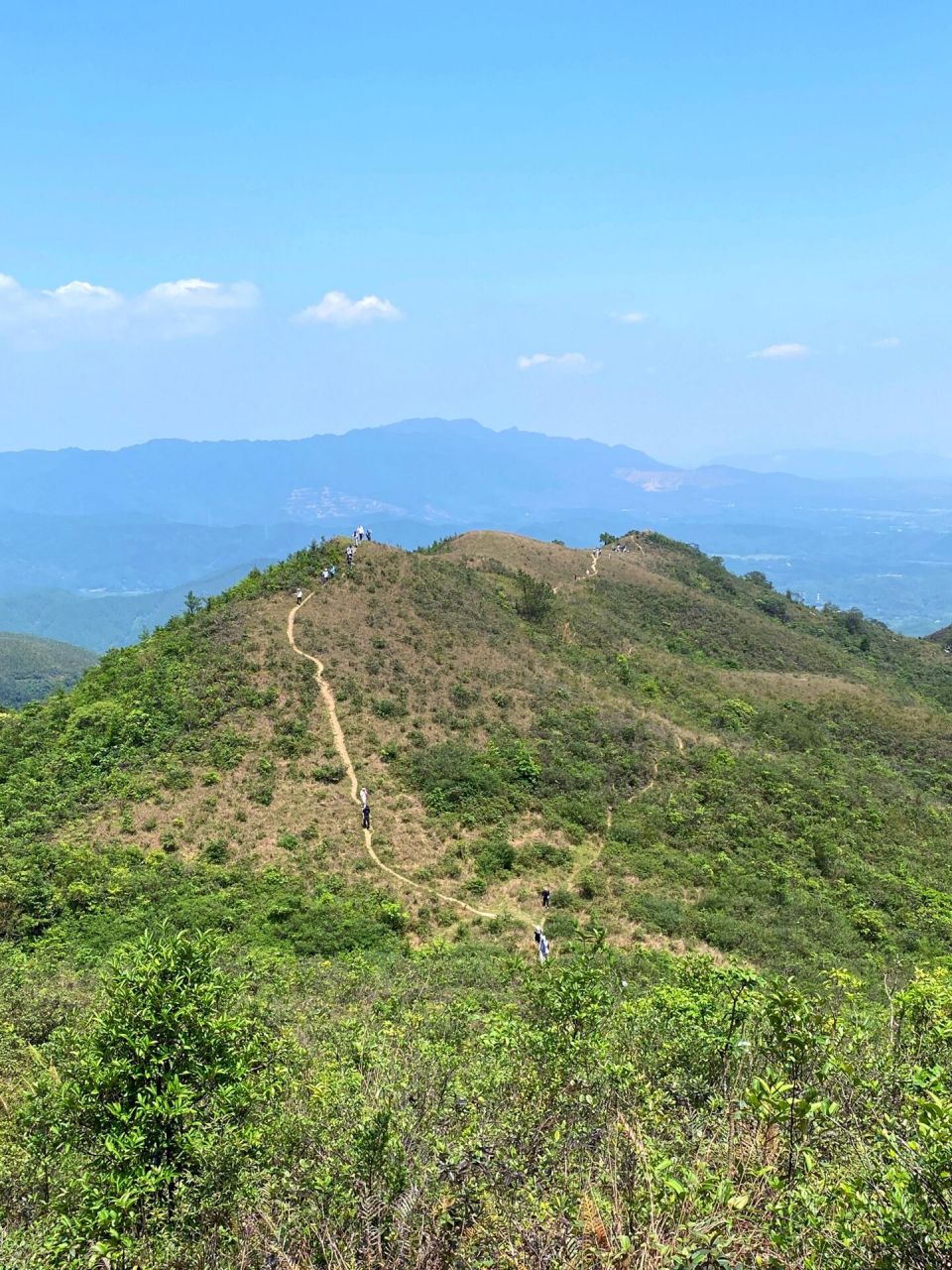 漫步空中大草原 号称恩平第16615峰的牛塘山,夏季绿色草原美如