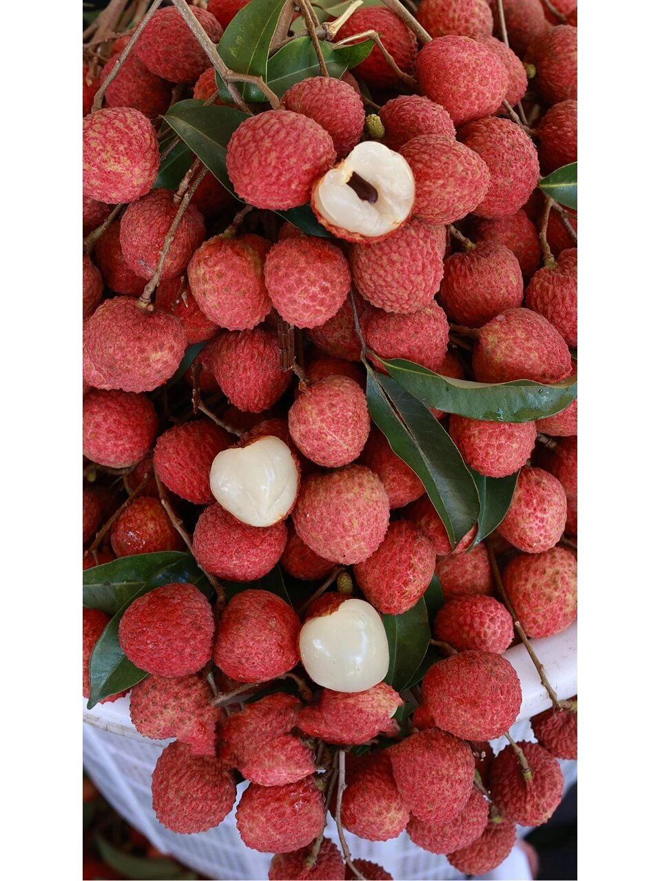 糯米糍荔枝的升级品种——【仙香糯荔枝】 入口就是优秀模板,软糯中带