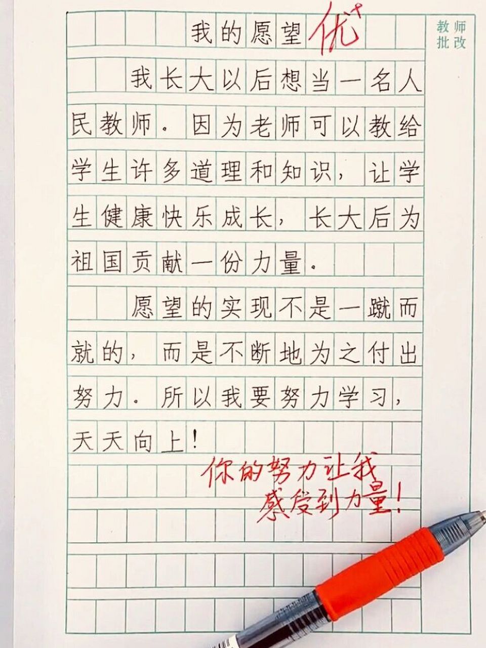 小学优秀作文《我的愿望》