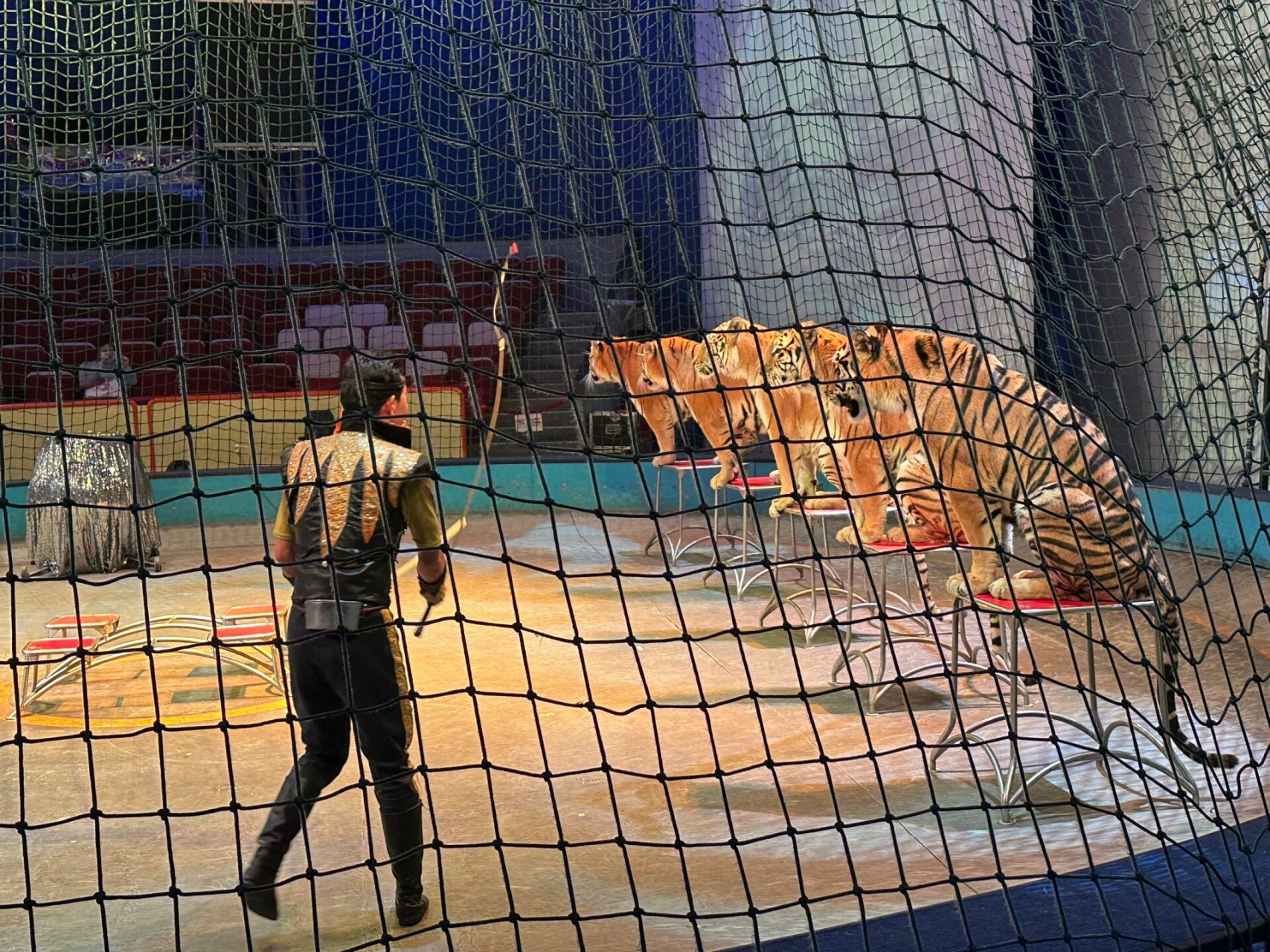 上海马戏城,欢乐马戏真精彩!