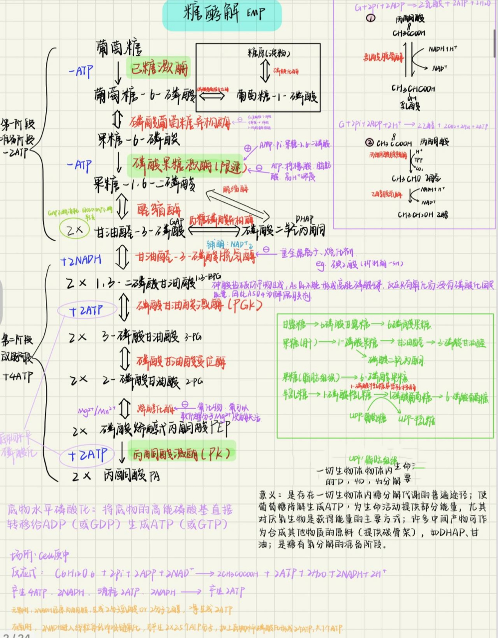 生物化学笔记1之emp糖酵解及其调控过程 第一次更新生化笔记,从下册