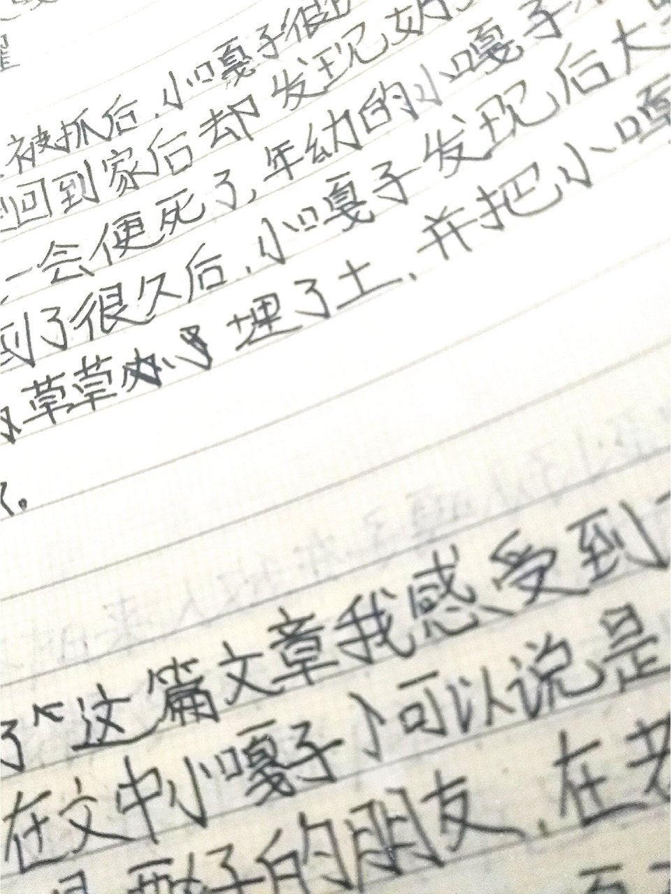 《小兵张嘎》第四章读书笔记 字丑勿喷