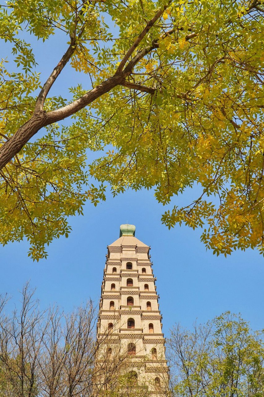 总之是你没见过的中国塔造型|宁夏银川 宁夏唯一的第一批全国重点文物