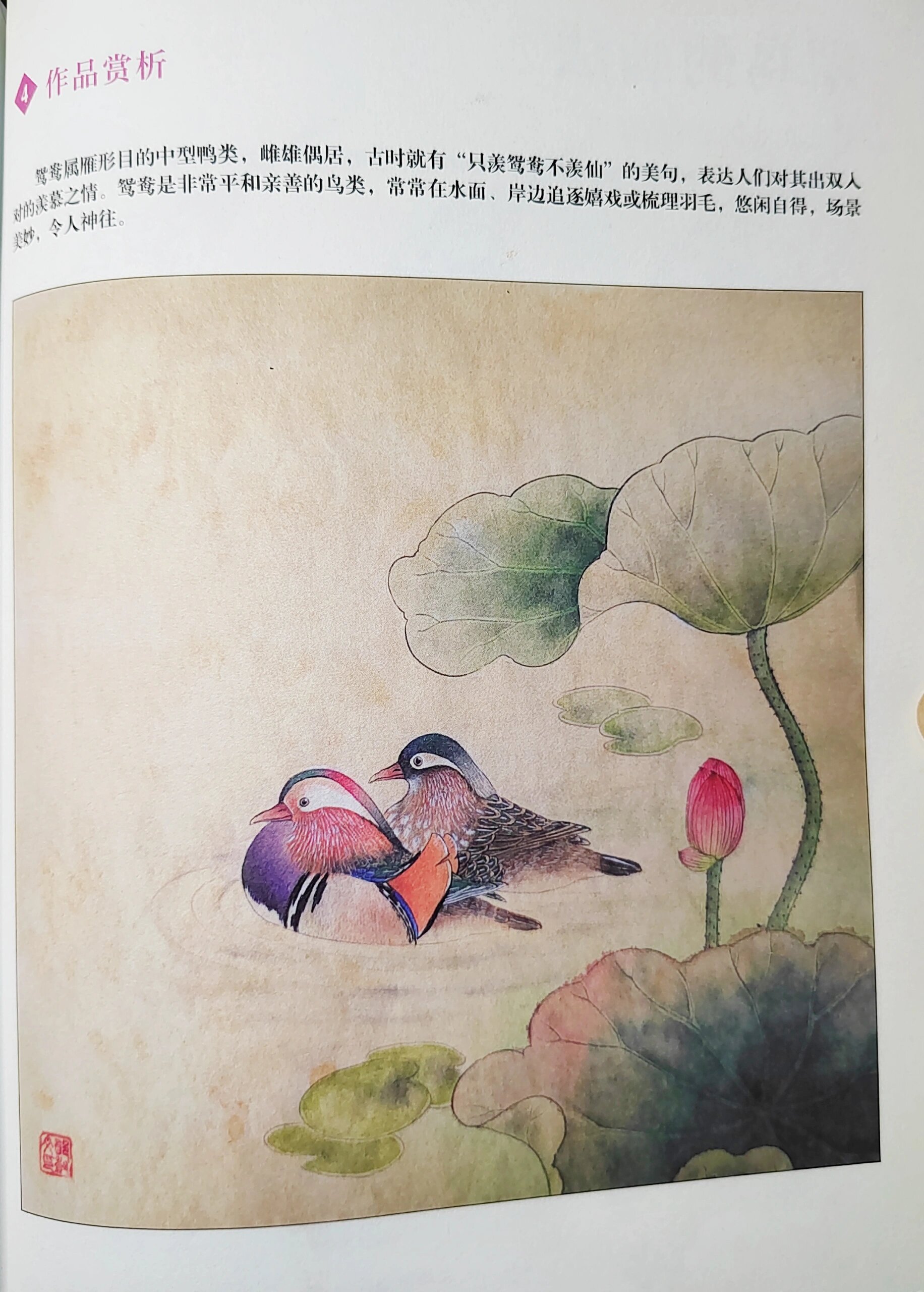 工笔鸳鸯的画法