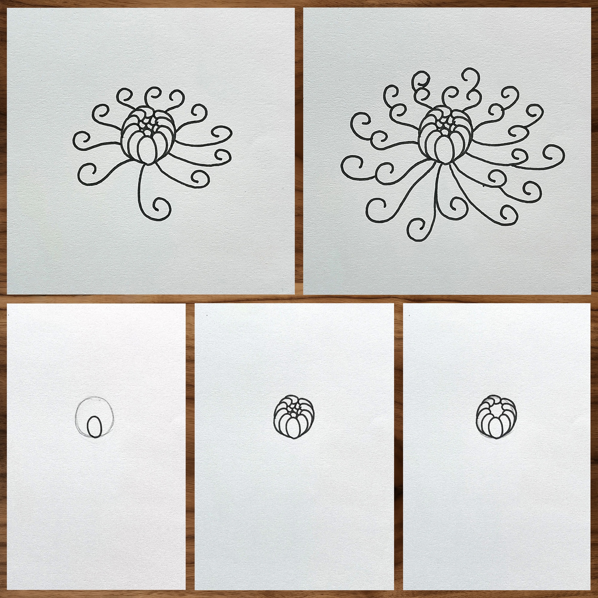 简易菊花画法 一学即会