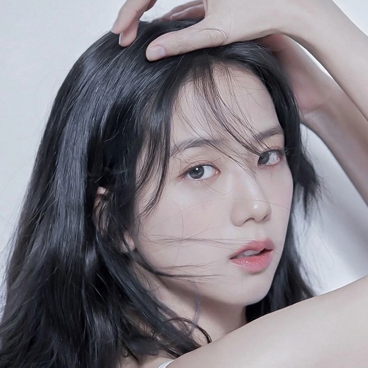 金智秀头像 『"车窗精灵"jisoo金智秀』9398 秀秀好米9291