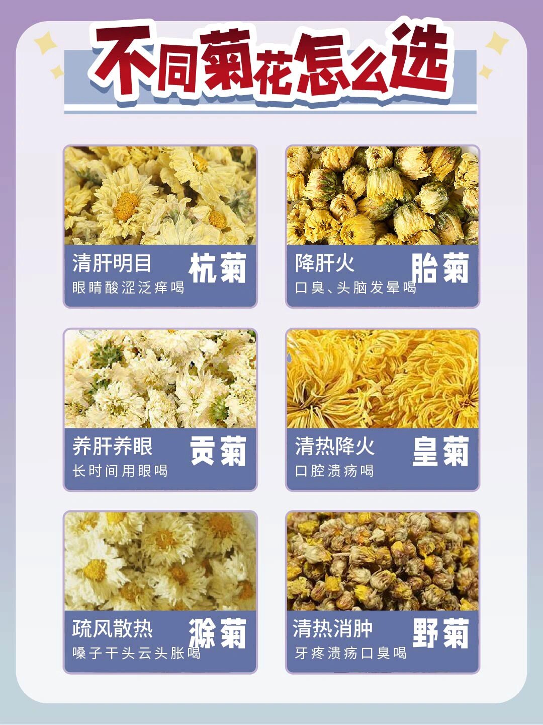 菊花你认识几种 不同菊花怎么选 97