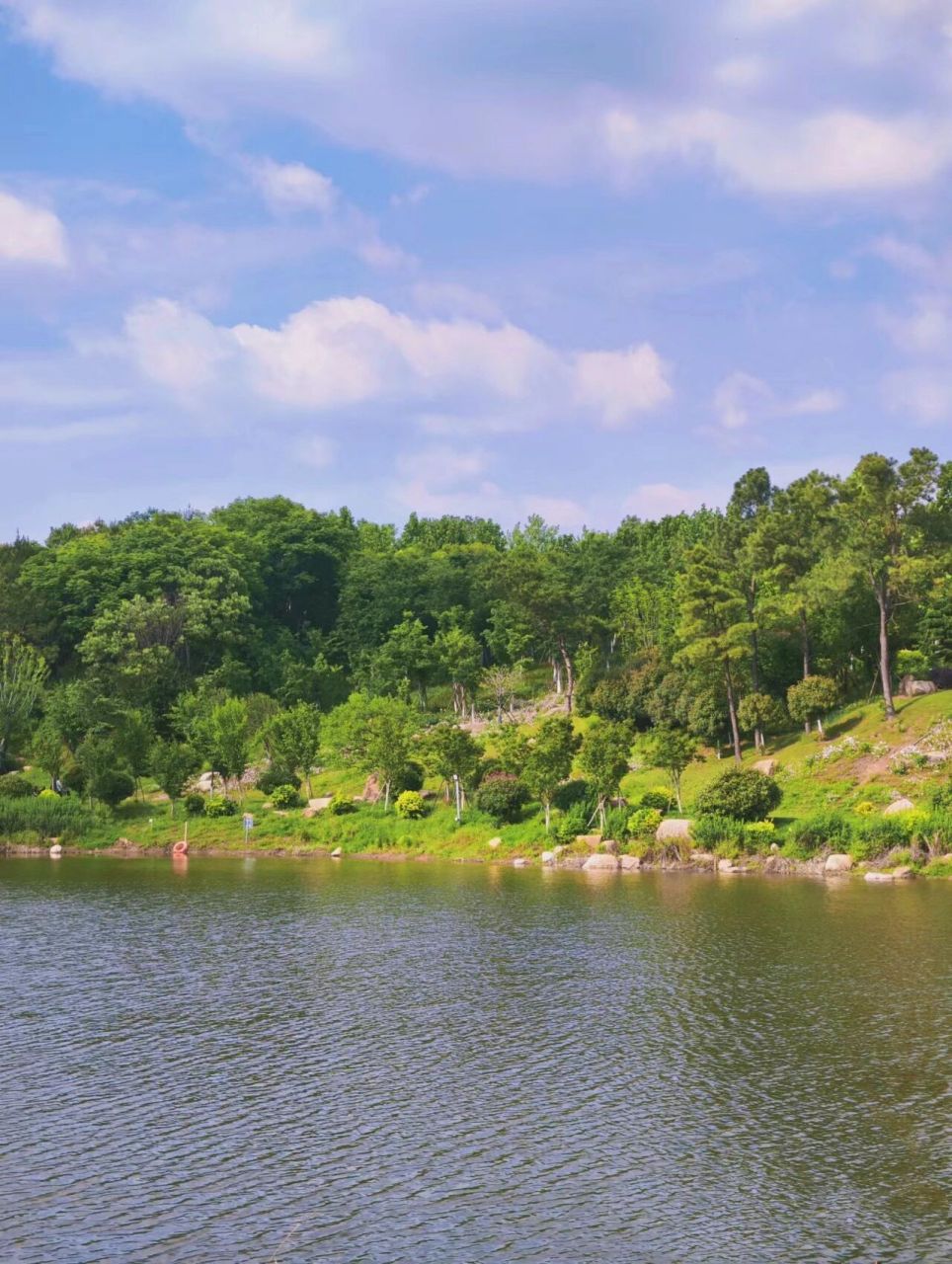 信阳旅游攻略 |  06羊山森林植物园 "在没有天花板的地方,大口吸氧"