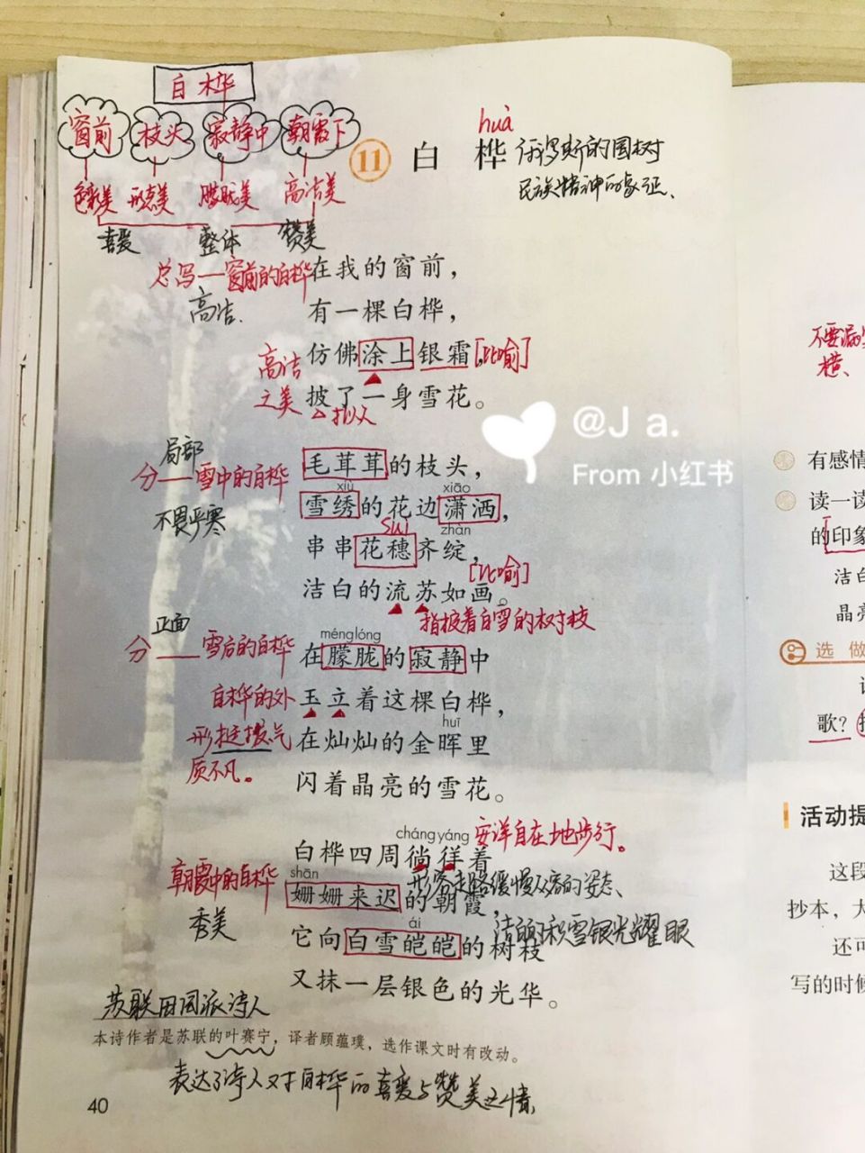 部编版四下第11课《白桦》 努力不会辜负每一个追梦者[你懂的]#语文