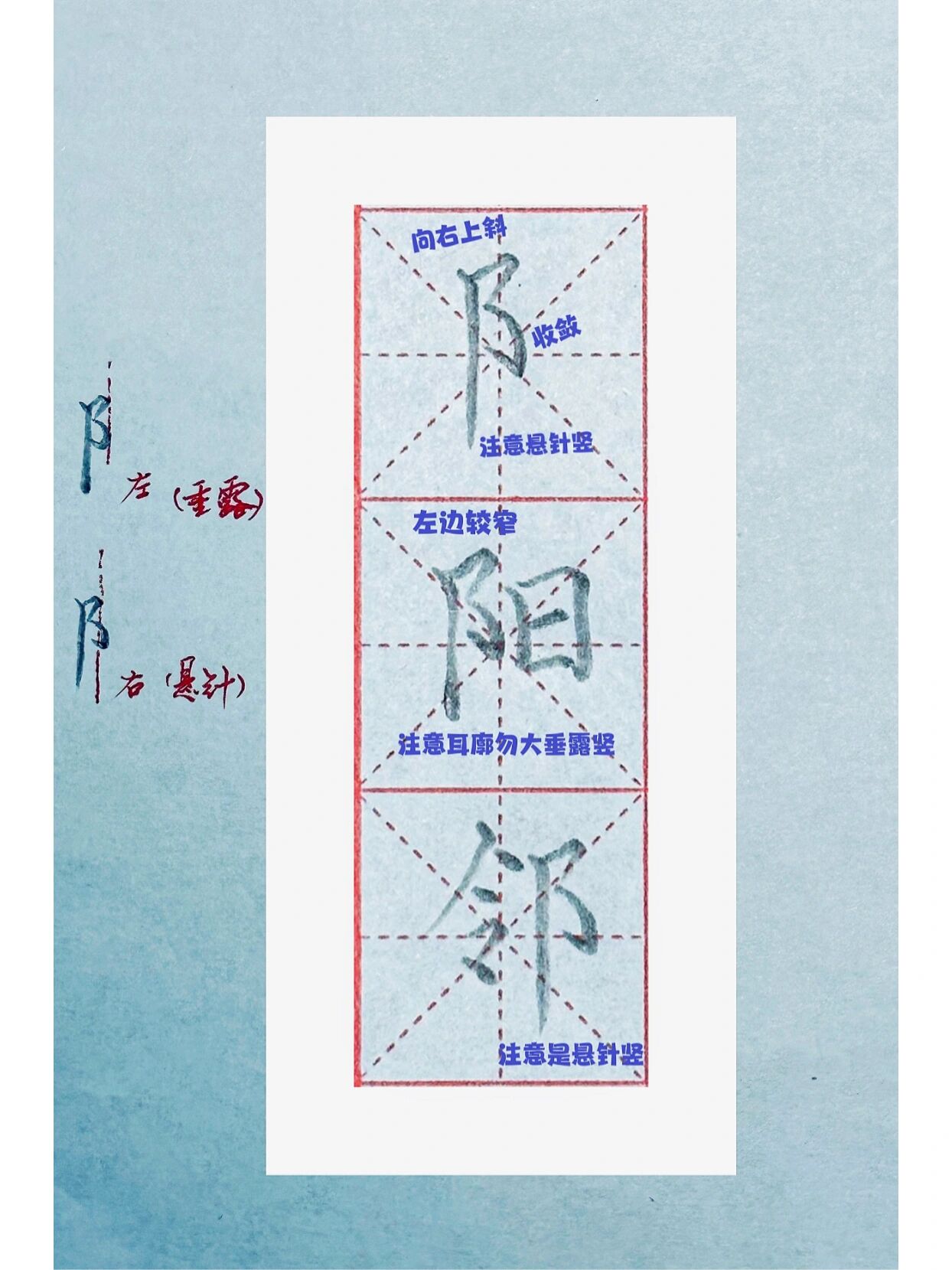 学会双耳旁的区别 左耳旁规律:整体写得比较瘦长,一般是左窄右宽,右边
