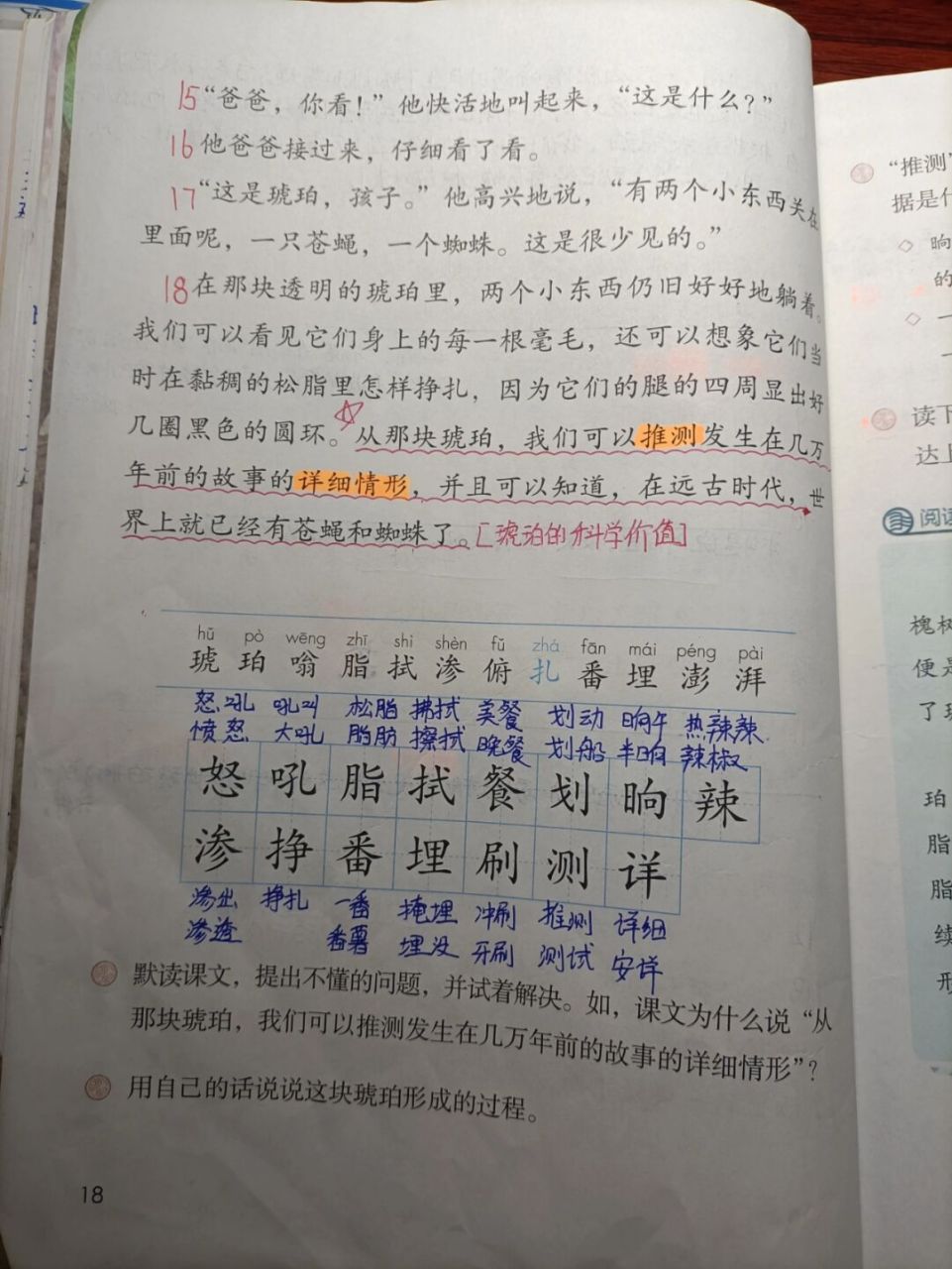 第五课琥珀 #四年级下册语文# #四年级语文下册# #四年级语文下册课堂