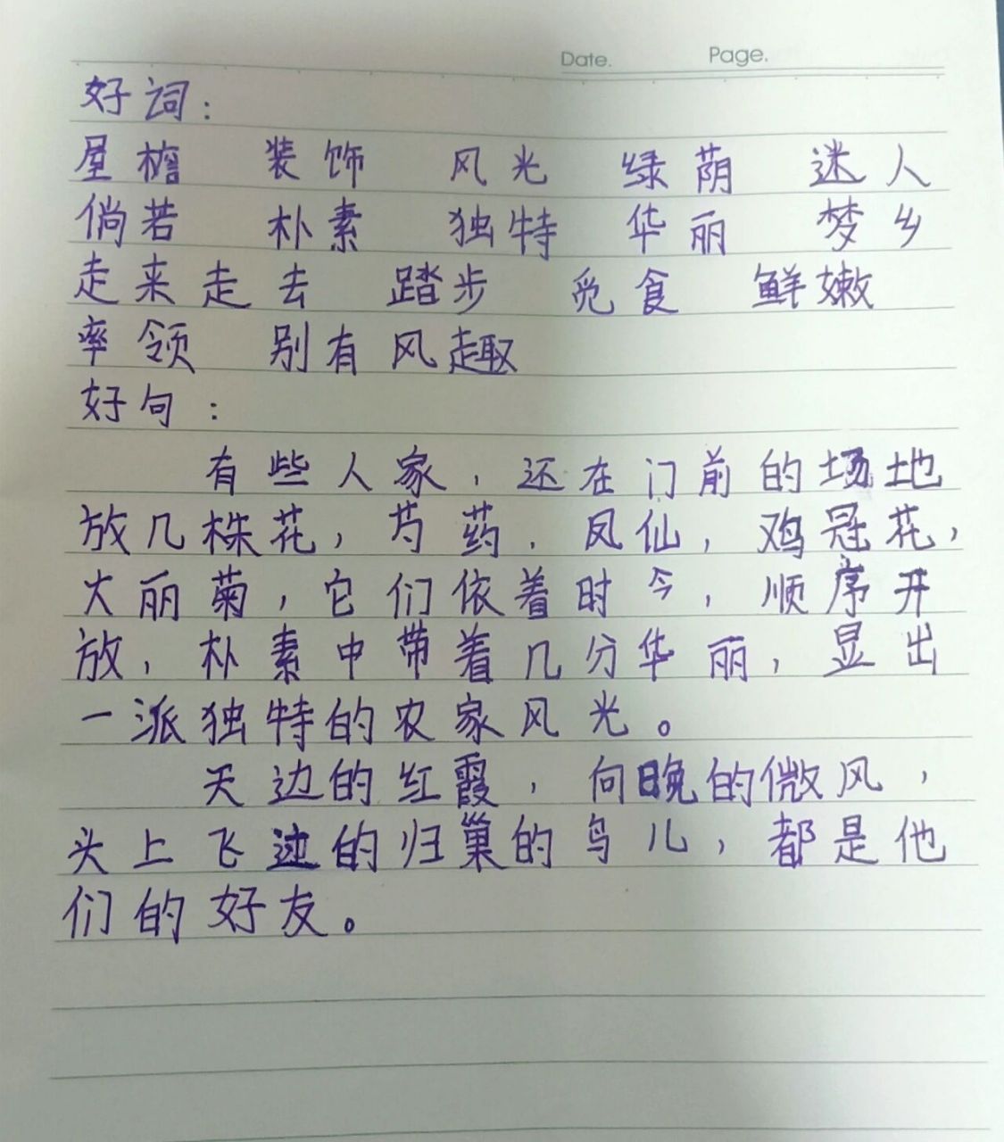 《乡下人家》读书笔记96