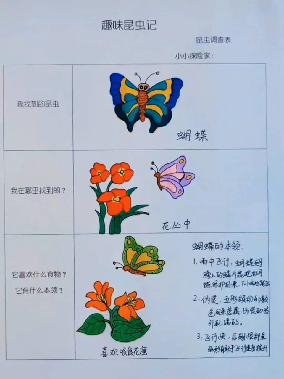 幼儿园作业--趣味昆虫记 虫虫记调查表 幼儿园作业系列--"趣味昆虫记"