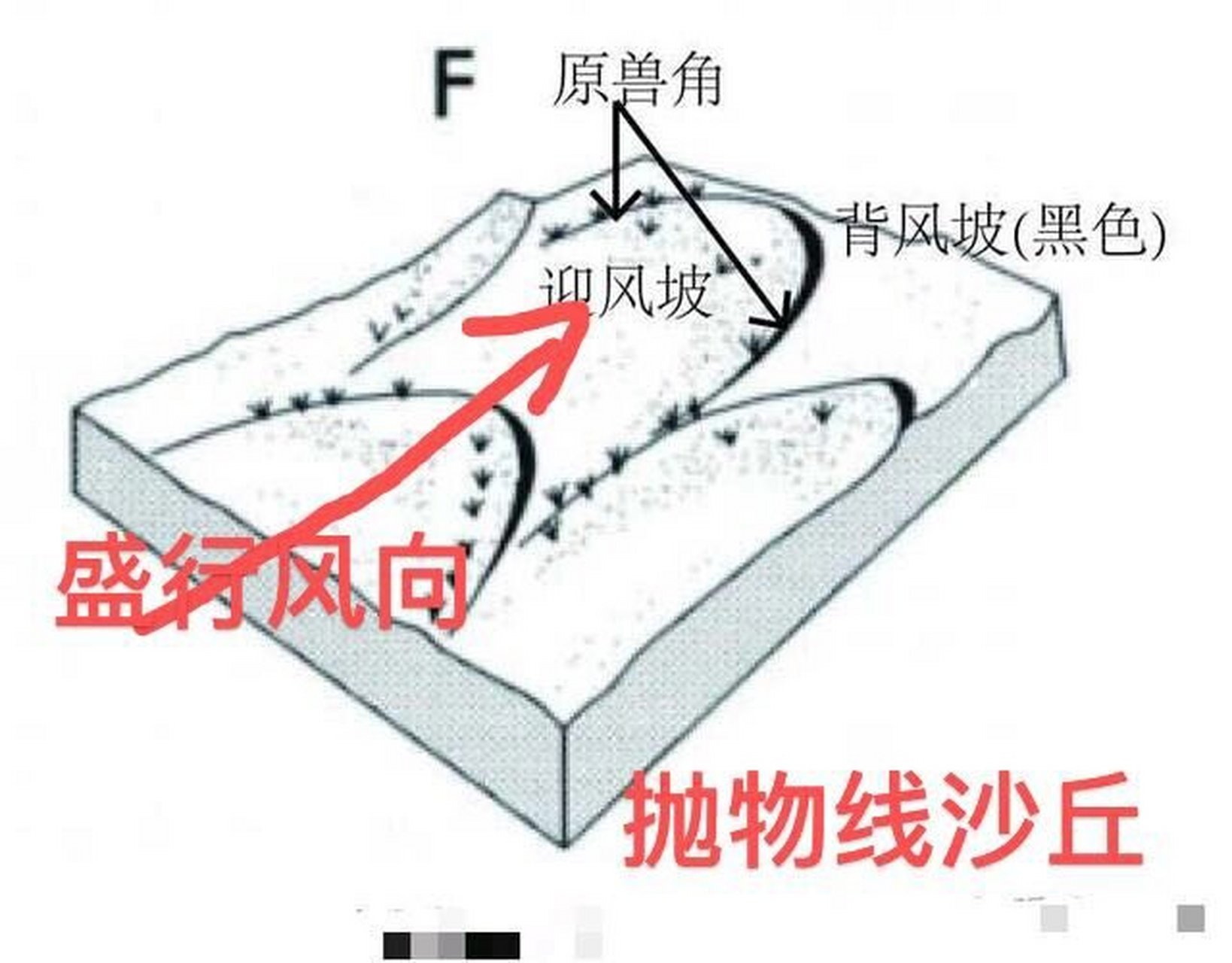 抛物线沙丘,新月形沙丘的区别