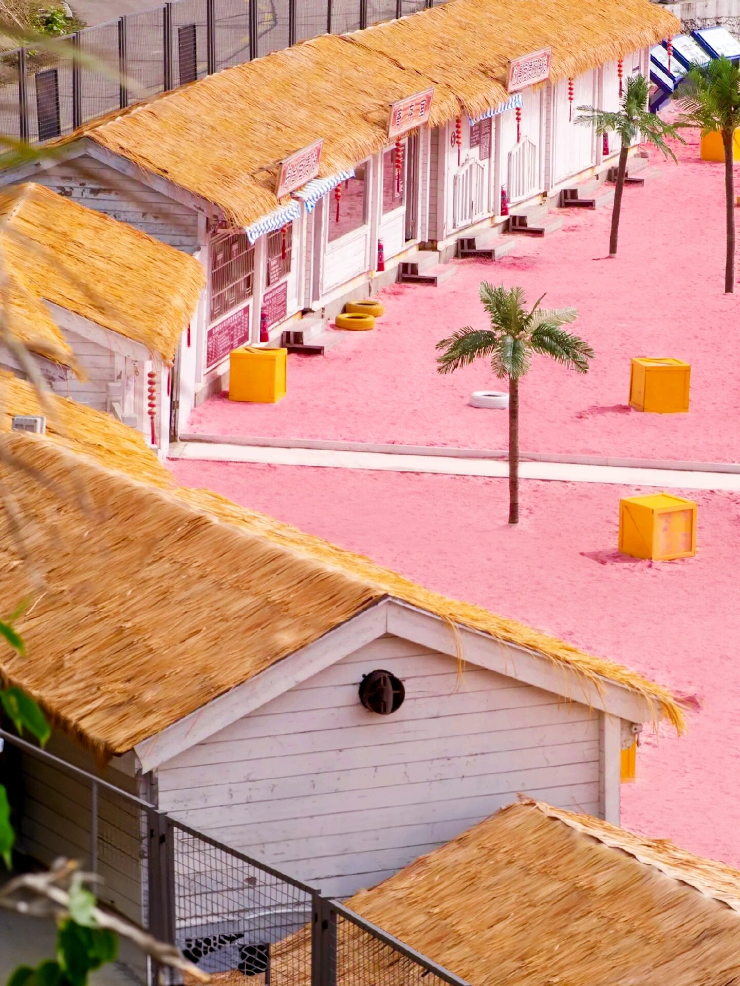 01台州石塘惊现粉色沙滩9215爱拍照的一定要去~78没人能拒绝