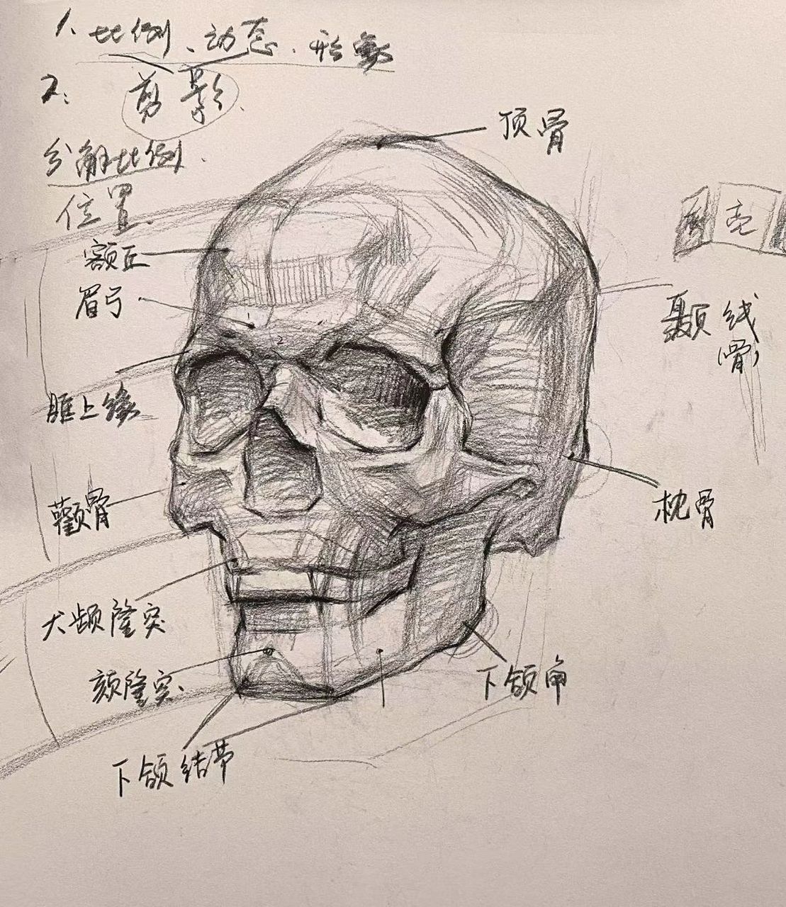 头像基础头骨知识详解 要61好画69素描头像,首61要先69掌握好