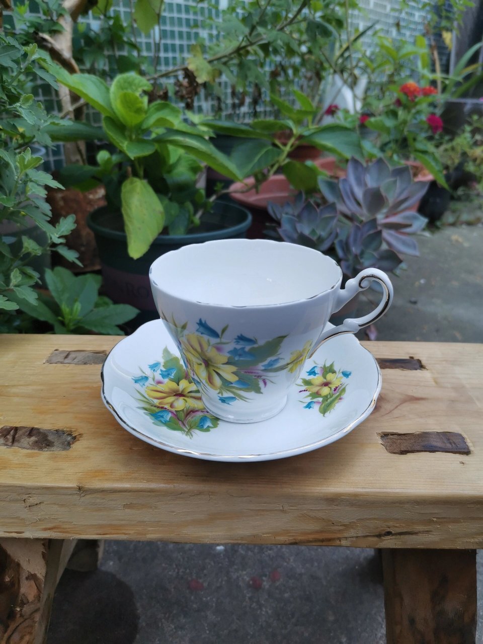 英国regency骨瓷咖啡杯 regency这个牌子在英国瓷器重镇朗顿,存世在