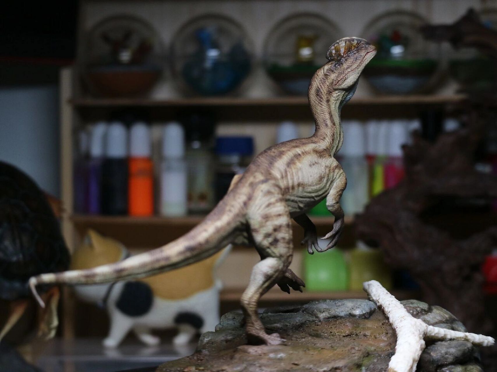 恐龙gk涂装的主次 像这种带有头冠的恐龙,那么涂装它的重点一定就是它