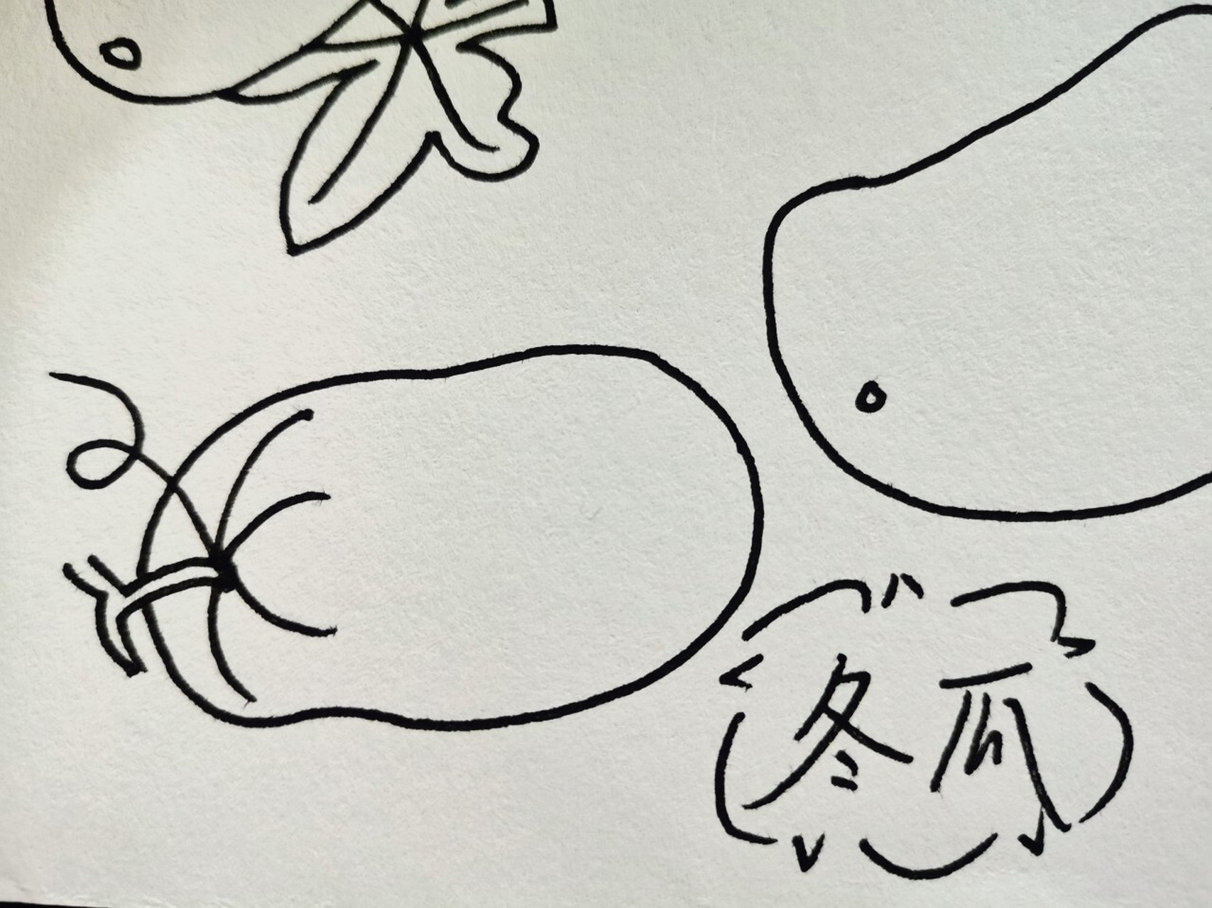 幼师day119---简笔画:冬瓜 矮冬瓜哈哈哈 这期报菜名"红烧冬瓜"