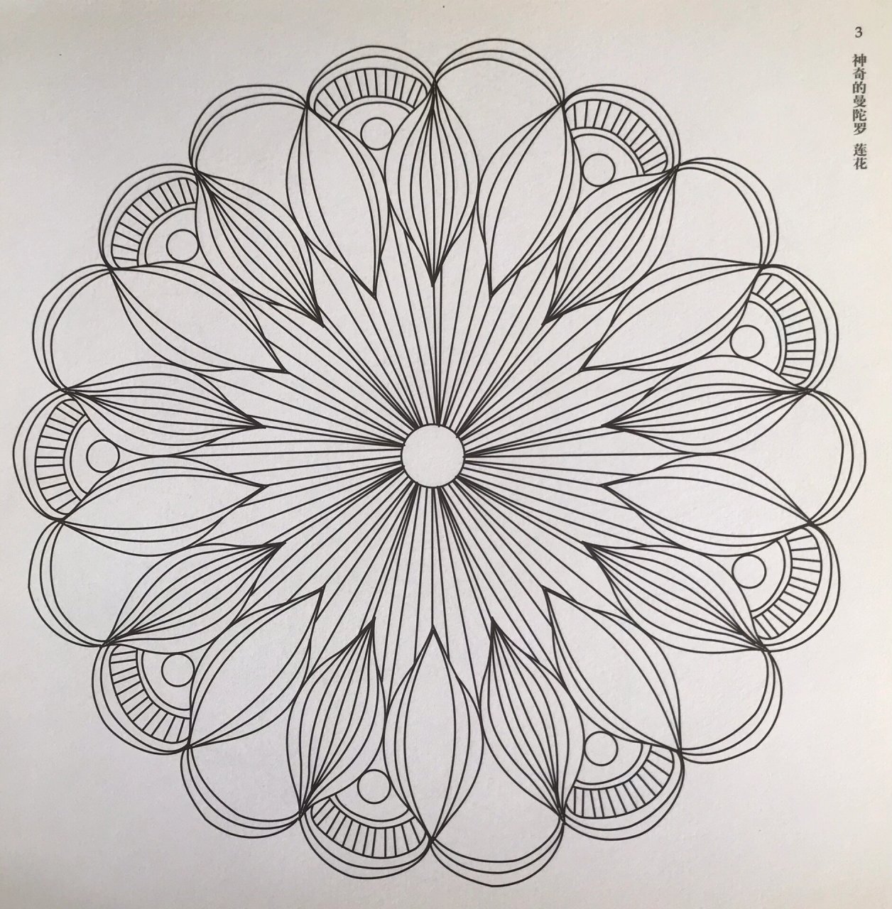 曼陀罗花绘画线稿设计笔控180款1-5 180款曼陀罗绘画持续更新1-5款 仅