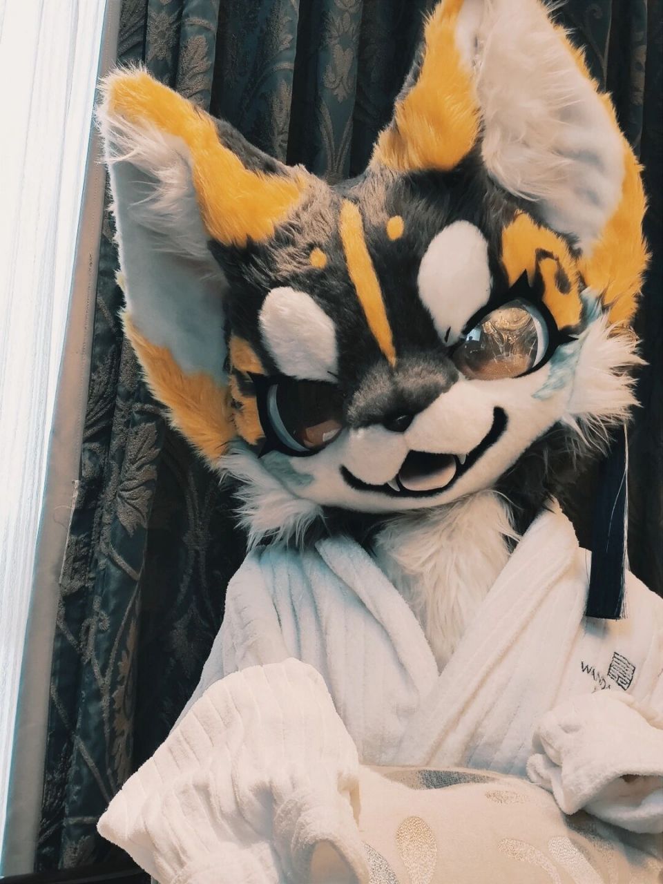 大总攻鹿野灸     图片:鹿野灸 侵权可删