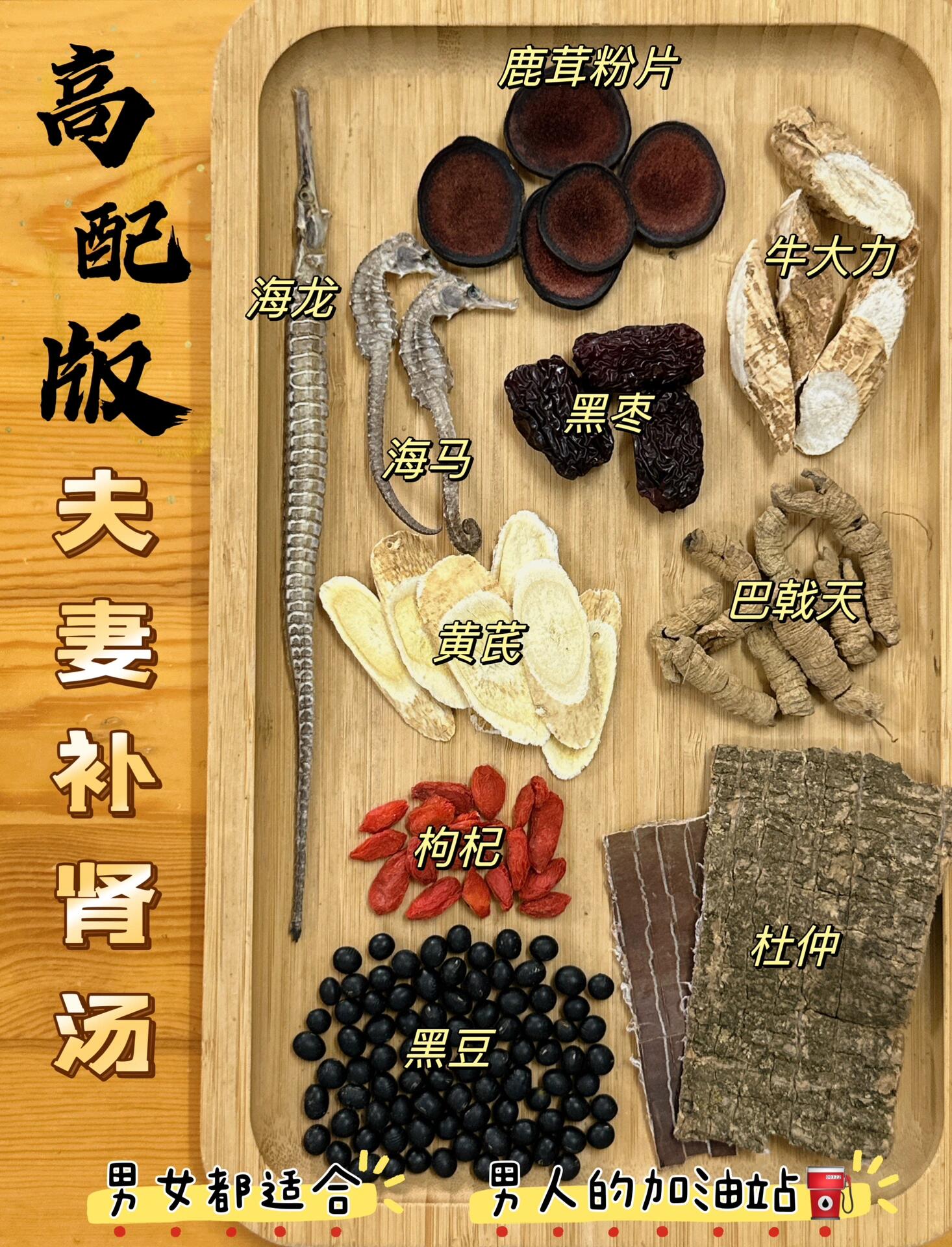 海马补肾汤图片