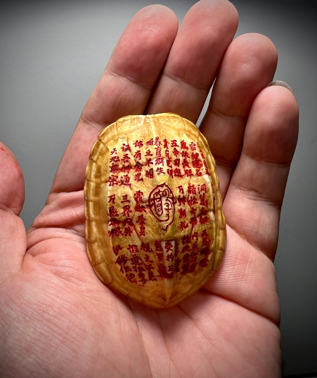 黄金甲•金光咒