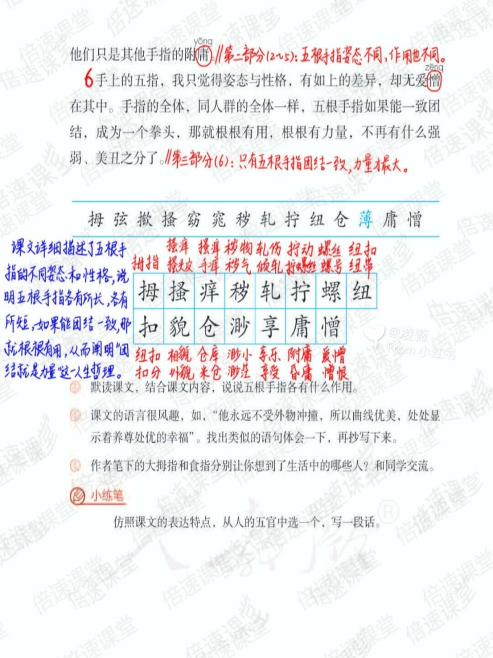 五年级下册|部编版语文|第22课手指|预习笔记