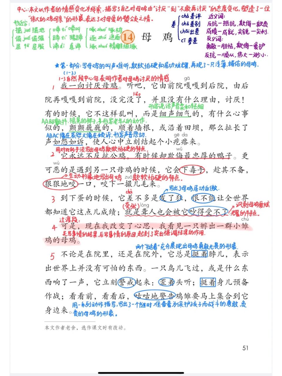 97部编版四年级下14《母鸡》课堂笔记 97部编版四年级下14《母鸡