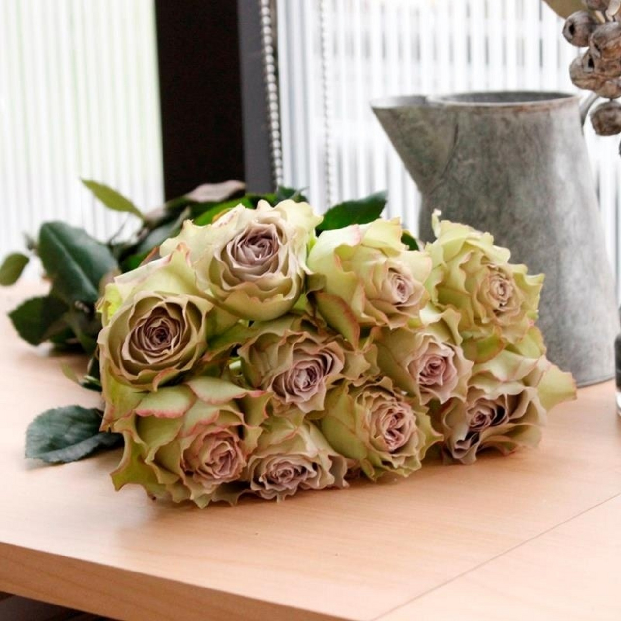 日本月季 95青金石面纱95 日本月季 95青金石面纱95 日本今井