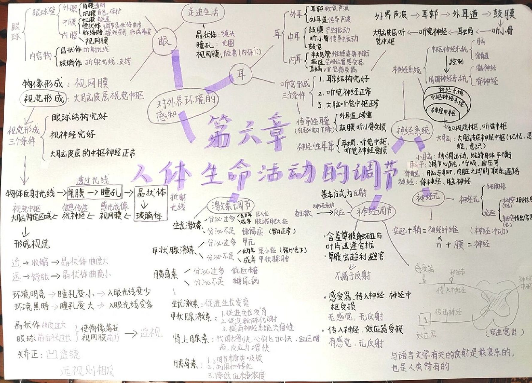 七下生物第六章思维导图 [偷笑]