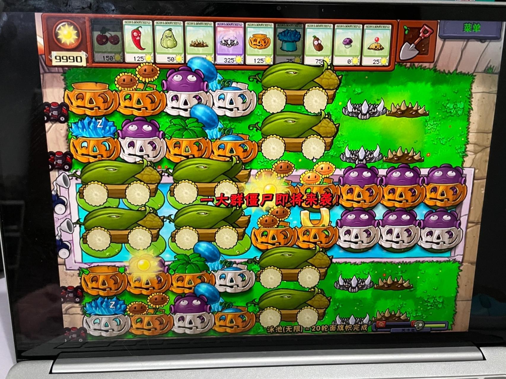 植物大战僵尸经典泳池无尽模式最强阵型 个人感觉的最强阵容之一哦