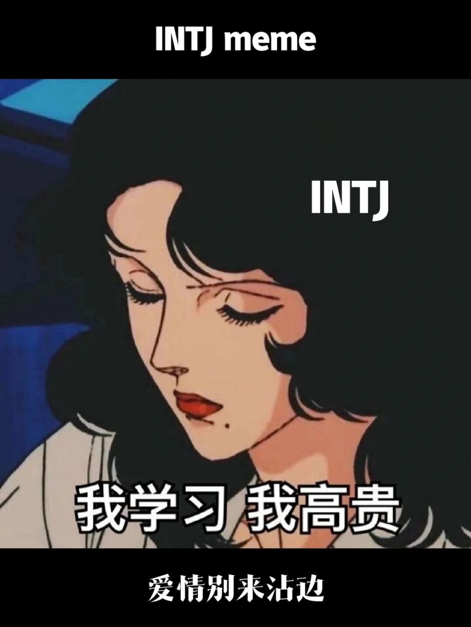 intj:我学习我高贵,爱情别来沾边,谁也配不上智慧博学的我.