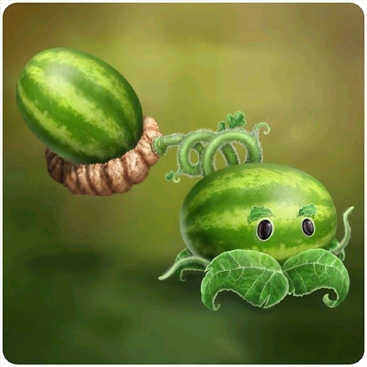 5秒吐一次,所以西瓜投手速度差不多是豌豆射手的一半,一个西瓜是80