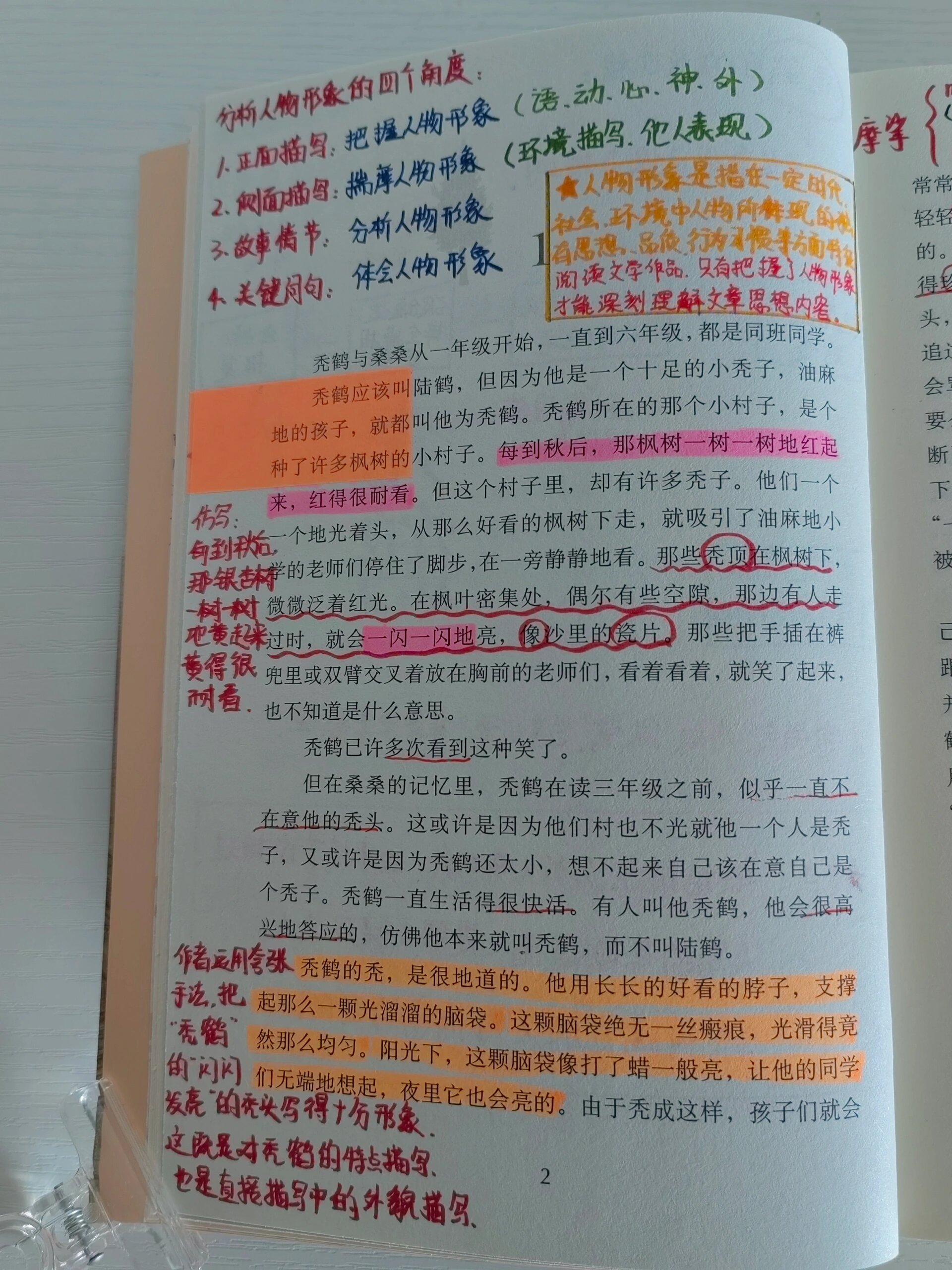 草房子秃鹤读书笔记图片