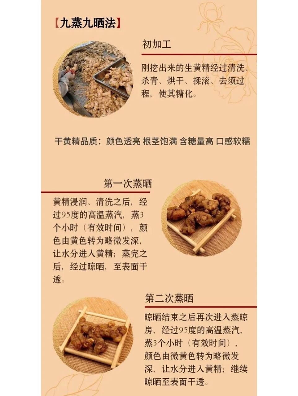 一篇了解9215黄精的九蒸九晒是怎么进行的?