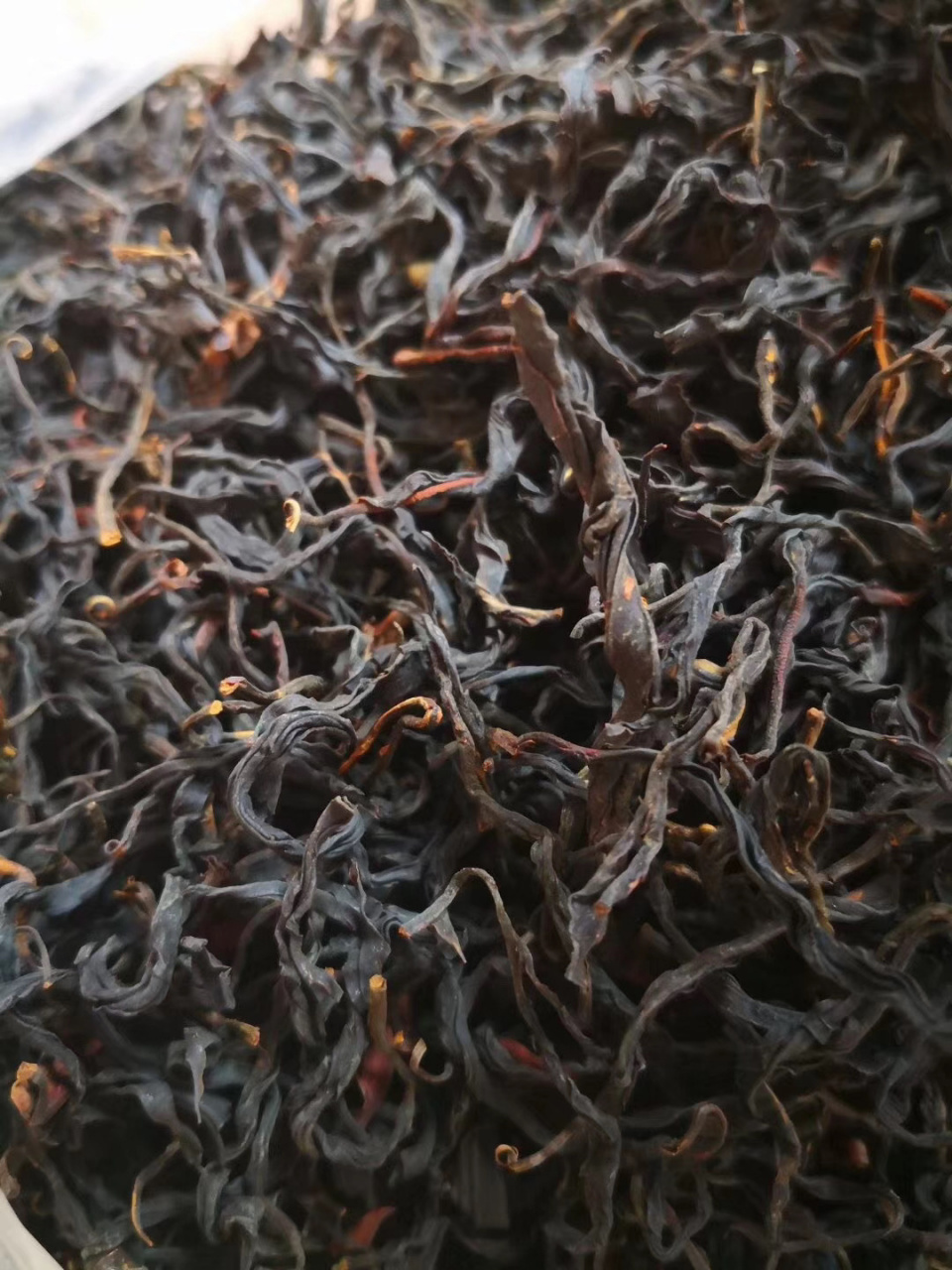 野生古树红茶价位图片