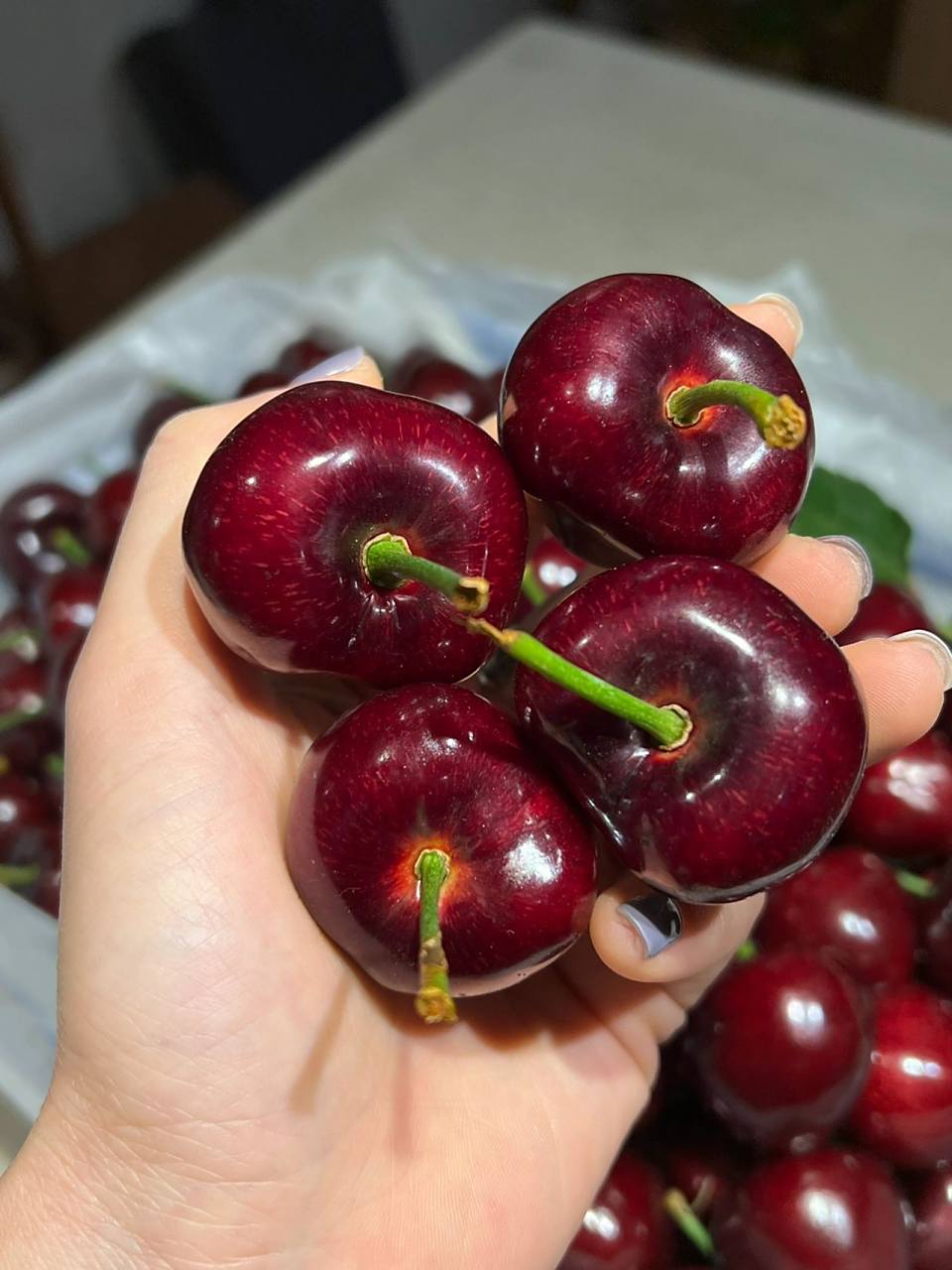 "俄罗斯8号"是颗樱桃90,你吃过没?
