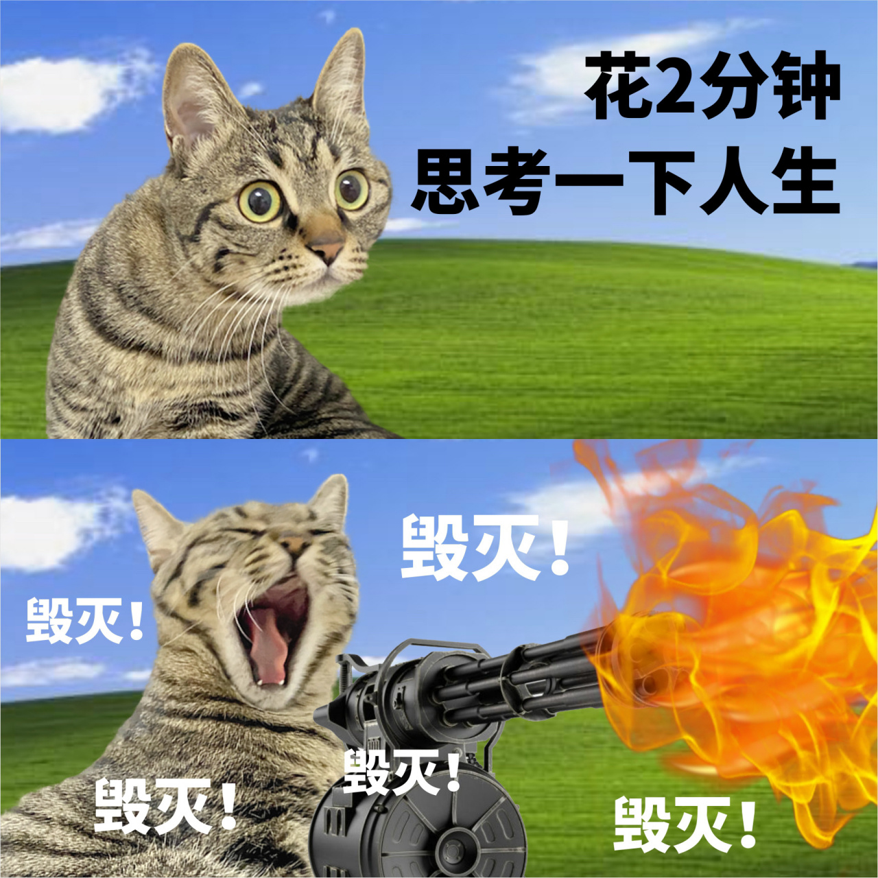 日常精神状态表情包 如果天天上班的话 没点素质也正常吧