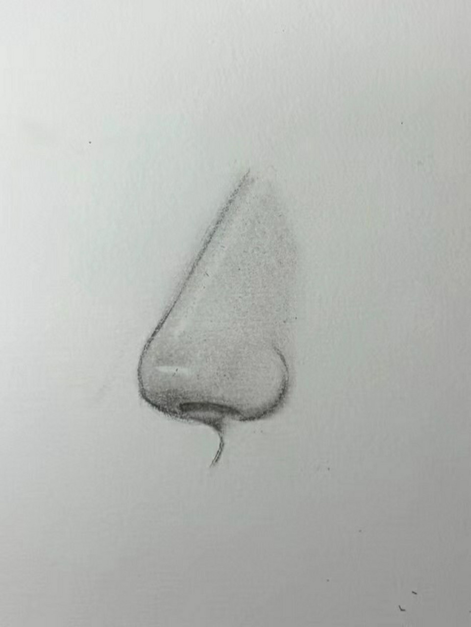 全侧面素描鼻子的画法 将鼻子形状看作是一个三角形,大圆代表的是