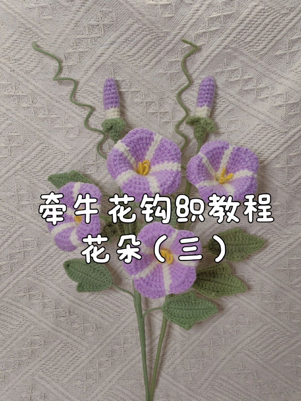 牵牛花花朵钩织教程三来啦(1711ω1117)1779