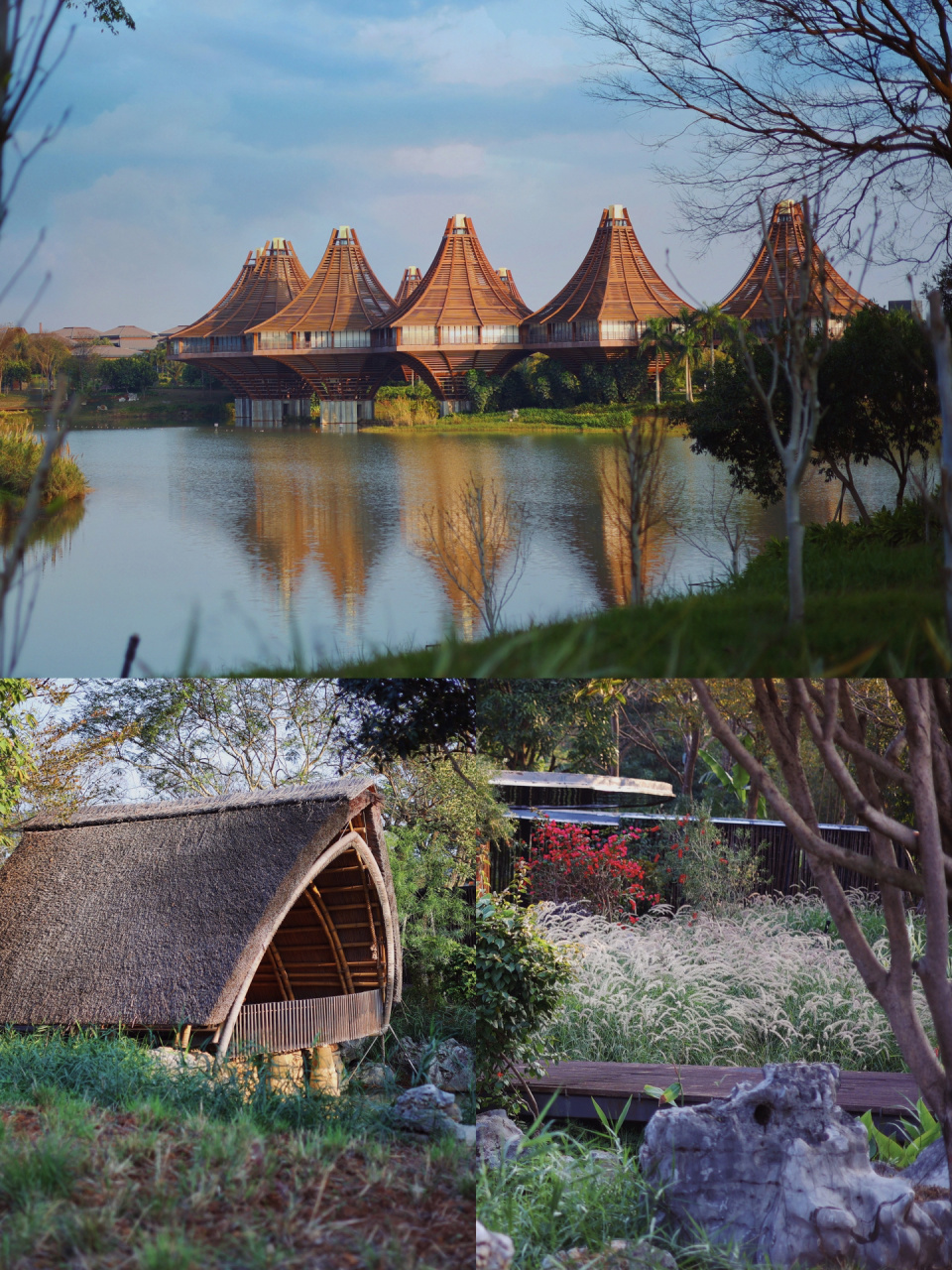 南宁园博园游玩拍照攻略|08超详细 园博园真的是南宁小众宝藏游玩