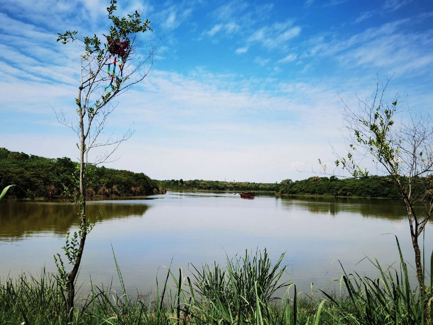 龙泉驿青龙湖湿地公园图片