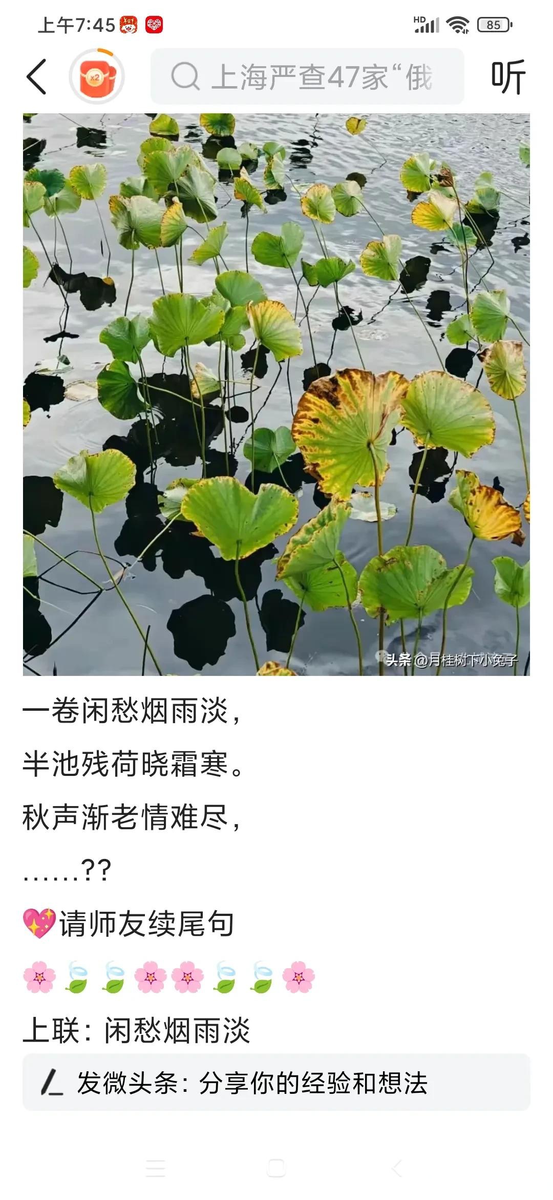 赞美残荷的七言绝句