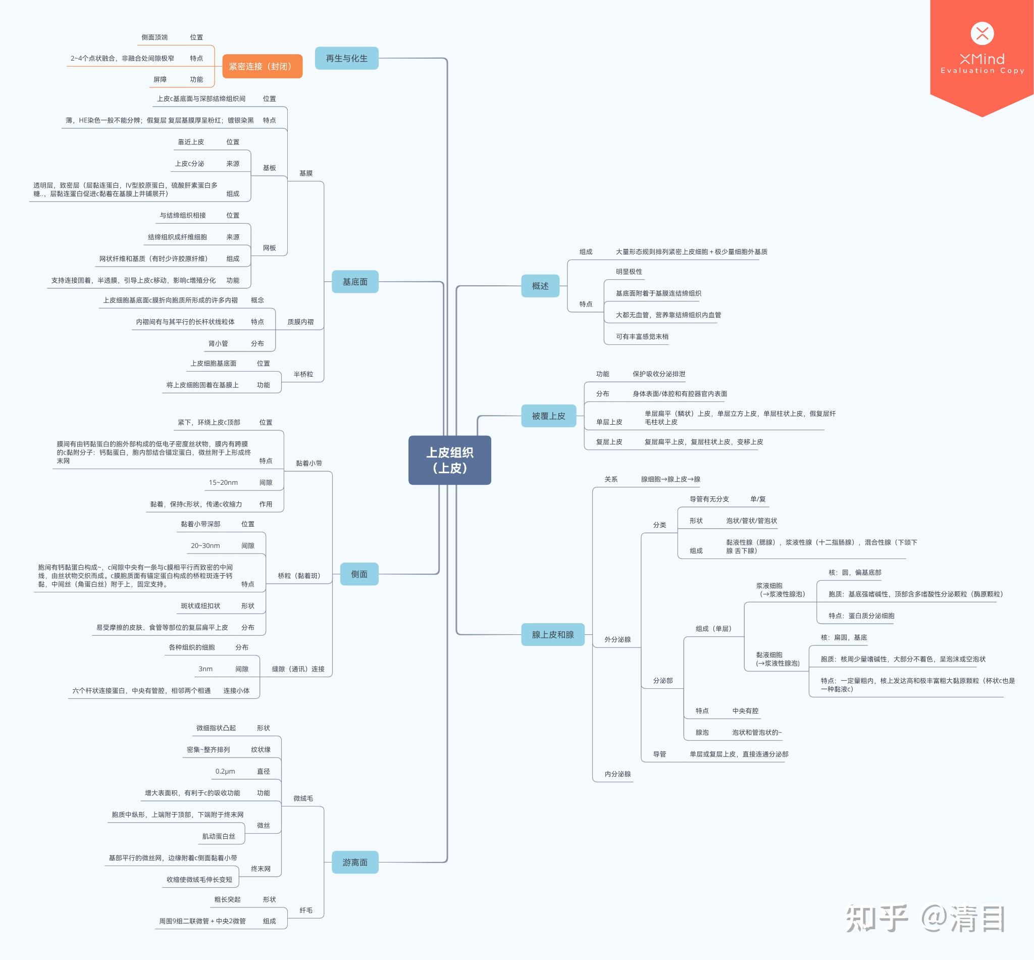 组织学与胚胎学思维导图笔记