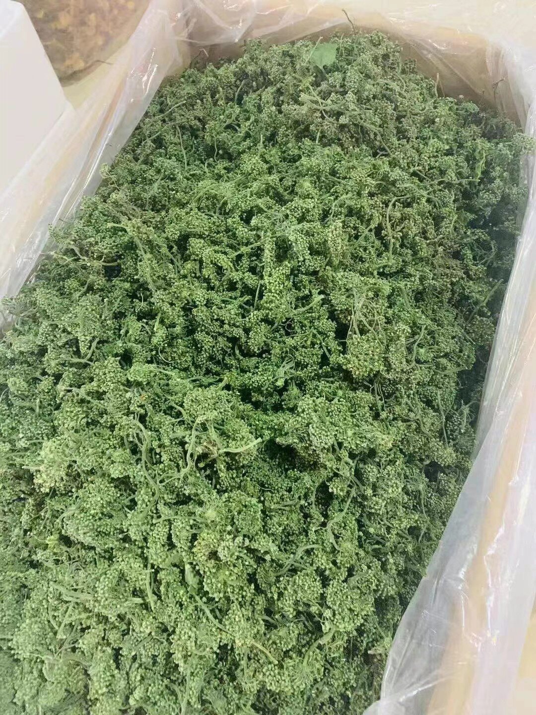 人生花怎么吃最好(人生花怎么吃最好最有营养)