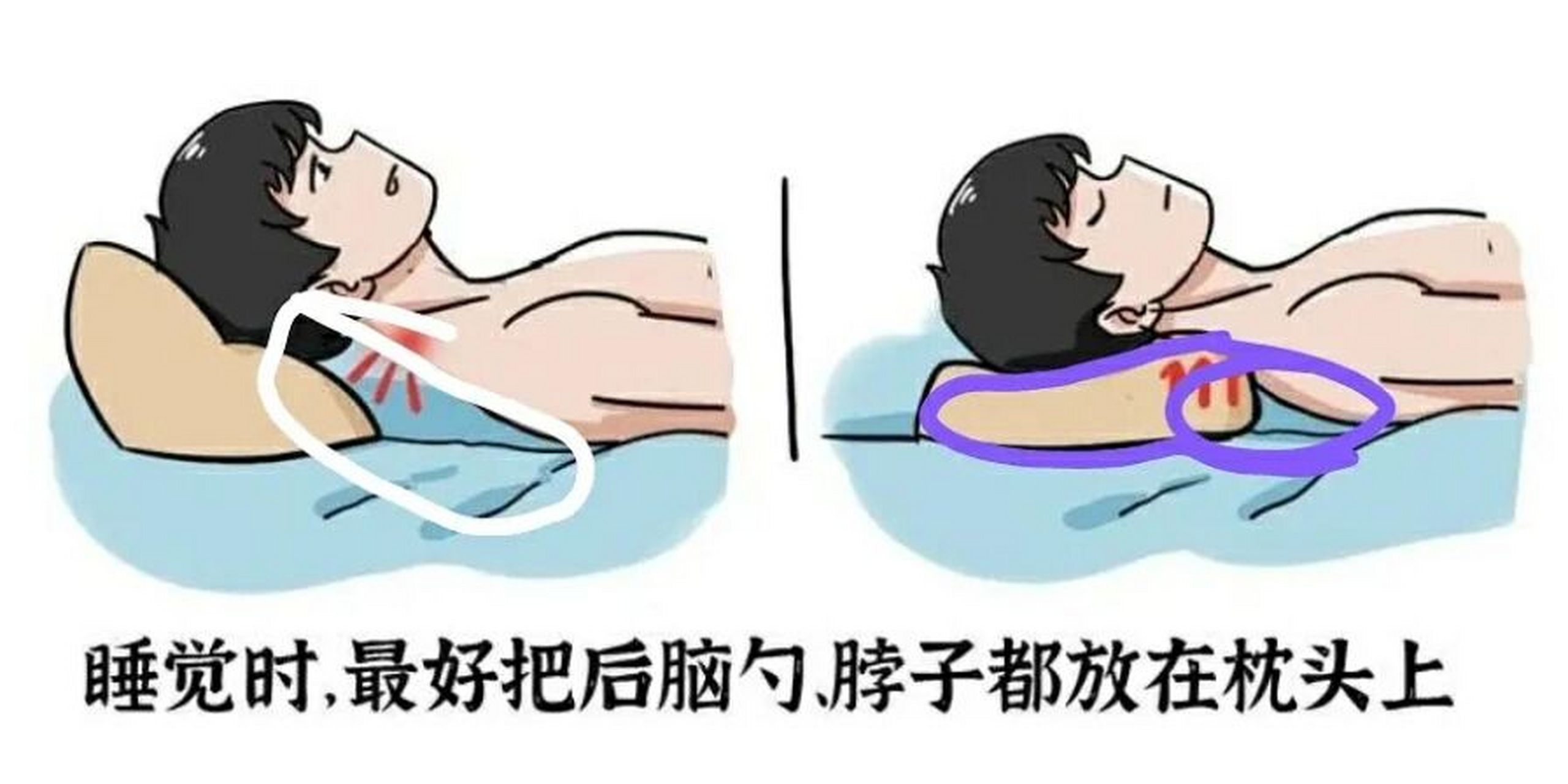 医生教的正确枕枕头的方法 1.枕头不要太高,适中就好了.荞麦皮.