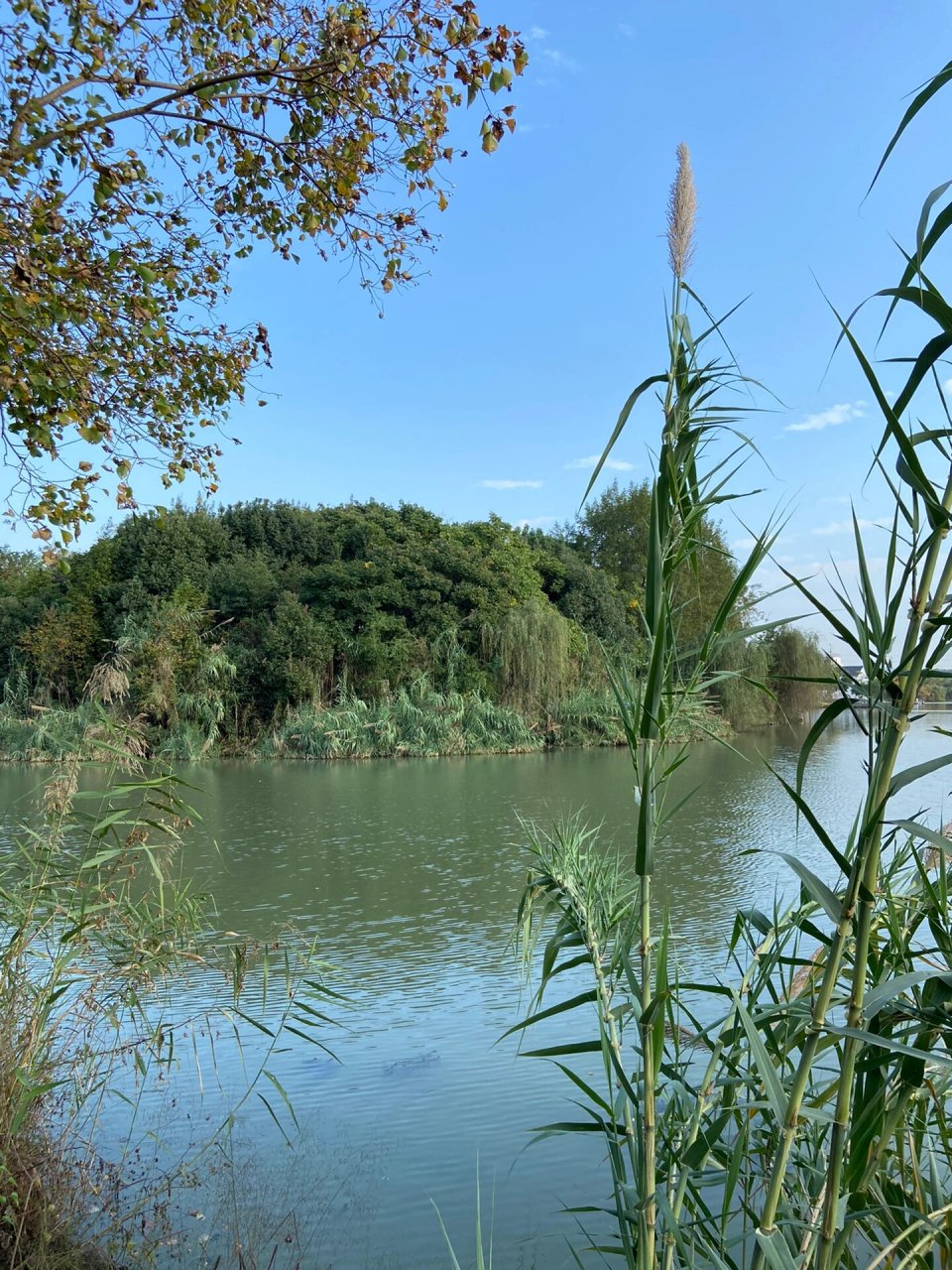 诸暨白塔湖湿地公园半日游 浙江诸暨白塔湖国家湿地公园,位于浙江省